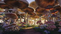 Какие грибы вызывают галлюцинации. Грибы псилоцибиновые: разновидности, распространение, время сбора